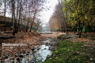 عکس‌هایی از طبیعت پاییزی بوستان وکیل آباد مشهد