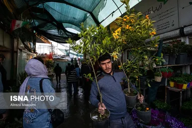 ایران زیباست | بازار گل محلاتی در روزهای پایانی ۱۴۰۳