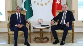 اردوغان و شهباز شریف در استانبول دیدار کردند