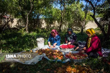 ایران زیباست؛ استان مازندران