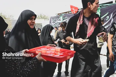 زائران پیاده امام رضا(ع) - ۲