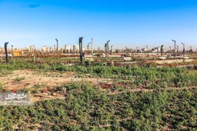 بوستان کشاورزی مشهد؛ مزرعه&zwnj;ای در دل شهر