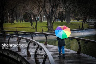 گزارش تصویری | حال و هوای بارانی مشهد | یکشنبه ۱۹ اسفند ۱۴۰۳