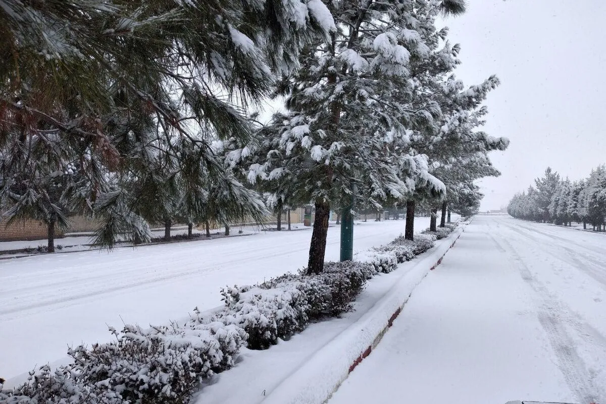 ویدئو| بارش سنگین برف منطقه سارال کردستان