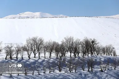 ایران زیباست | طبیعت برفیِ «هندودر»