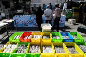 وضعیت مطلوب توزیع کالا&zwnj;های اساسی خراسان رضوی در نوروز ۱۴۰۲