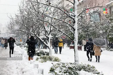 ایران زیباست | بارش برف در رشت