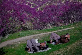 تپه&zwnj;های زیبای گلغندی در پروان افغانستان + عکس