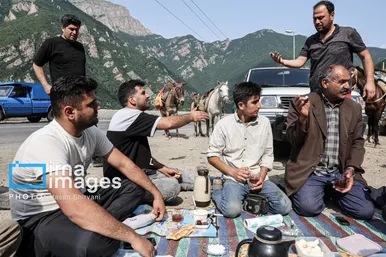 گزارش تصویری | «جاده چالوس» گذرگاه بهاری عشایر