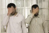 عملیات نجات مرغ‌ها از چنگال مرغ‌دزدها