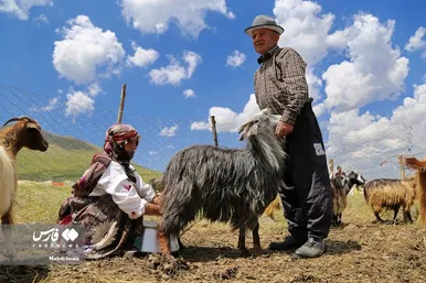 پدر، جانِ زندگی