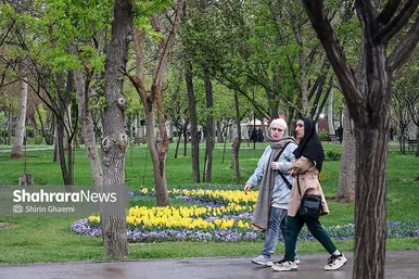 گزارش تصویری | جشنواره گل‌های لاله در مشهد