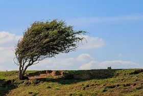 تداوم وزش باد و کاهش دما در خراسان رضوی (۱۷ مهرماه ١۴٠١)