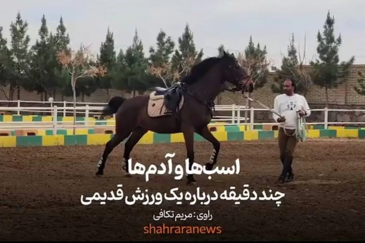 ویدئو| اسب‌ها و آدم‌ها | چند دقیقه درباره یک ورزش قدیمی