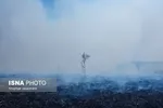 آتش سوزی تالاب انزلی اطفا شد + تصاویر
