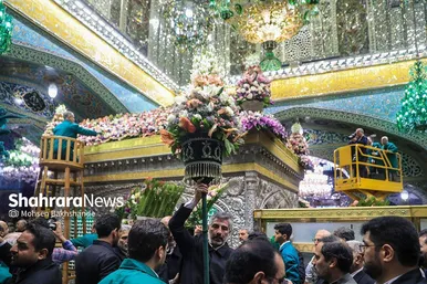 گزارش تصویری | تعویض گل‌های ضریح حرم مطهر امام‌رضا(ع)