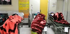 معاون وزیر بهداشت: علت مسمومیت&zwnj; دانش&zwnj;آموزان قم &laquo;حلال&zwnj;های آلی&raquo; است