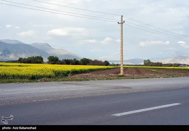 ایران زیباست | کشت کلزا در شهرستان سلسله - لرستان