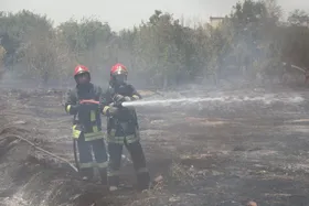 حریق زمین بایر در مشهد، باعث سوختن ۱۰۰ اصله درخت شد