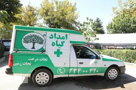امدادرسانی به بیش از ۶۵۰۰ اصله درخت در مشهد