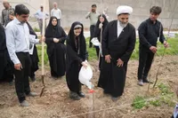 غرس ۲۳۴ نهال در موقوفه گوهرشاد، یادبود شهدای میناب در پویش ملی «سرو ایران»