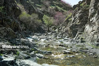 گزارش تصویری | دره «ارغوان» مشهد