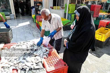 بازار ماهی فروشان در شهرک عرب‌های مشهد