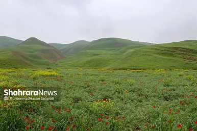 طبیعت زیبای ترکمن صحرا