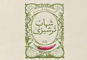 &laquo;گزیده طنز شهاب ترشیزی&raquo; منتشر شد