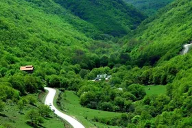 ویدئو| تنوع زیستی منطقهٔ قره&zwnj;داغ اهر