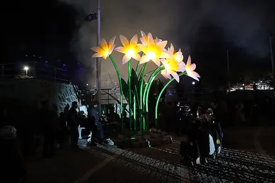 مراسم افتتاحیه اولین جشنواره هنرهای نوری ایران