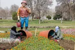 مشهد با نصب نماد‌ها و نشانه‌های هنری برای نوروز ۱۴۰۰ آماده می‌شود + تصاویر