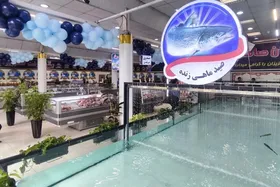 افتتاح دومین فروشگاه تخصصی عرضه محصولات پروتئینی تحت نظارت شهرداری مشهد