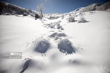 ایران زیباست | گلستان برفی