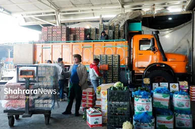 گزارش تصویری | بازدید رئیس کمیسیون اصل ۹۰ از میدان‌بار سپاد مشهد (۲۴ بهمن ۱۴۰۳)