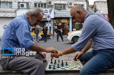 گزارش تصویری | شطرنج بازان سبزه میدان