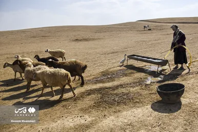 ایران زیباست | «عشایر کُرمانج»