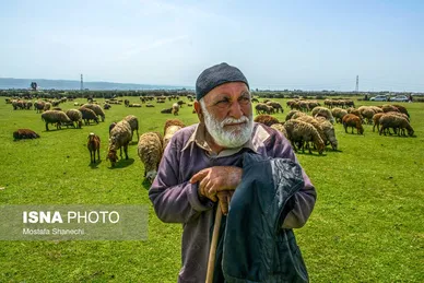 پتروشیمی میانکاله از نگاه دوربین