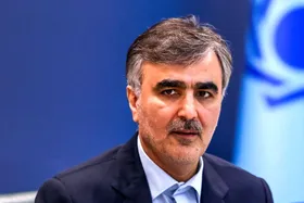رئیس بانک مرکزی: در سال ۱۴۰۲ بالغ بر ۳۱ میلیارد دلار ارز به وزارت صمت داده&zwnj;ایم