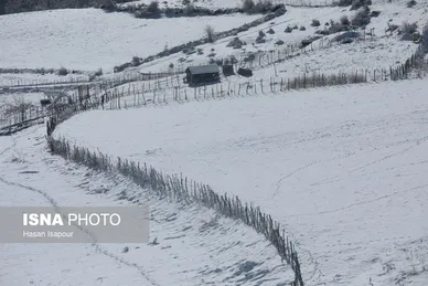 گزارش تصویری | بارش برف زمستانی در سوادکوه - مازندران