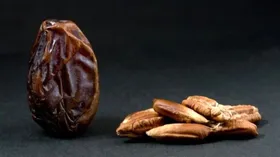 خواص درمانی عجیب از هسته خرما