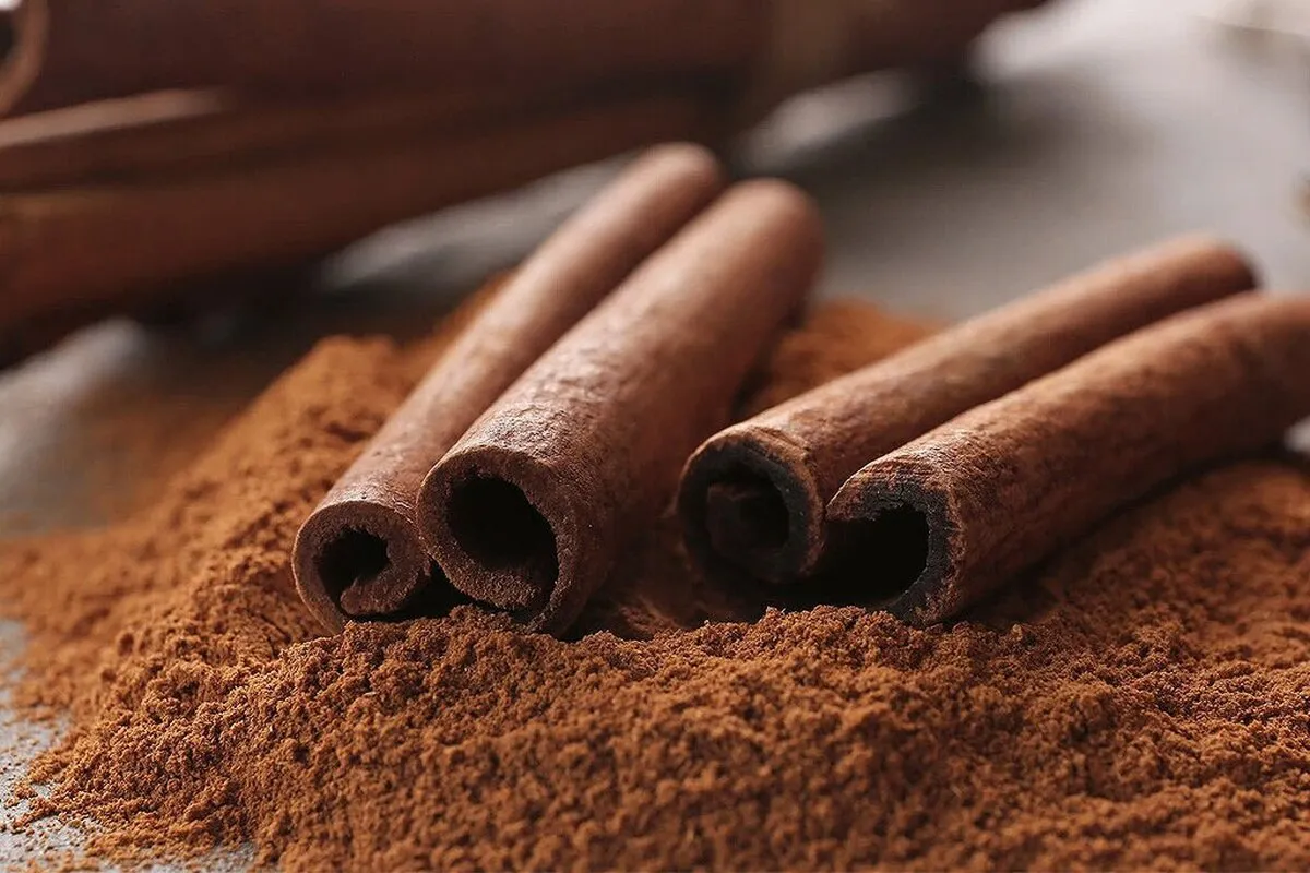 راهی تضمینی برای دفع مورچه از خانه
