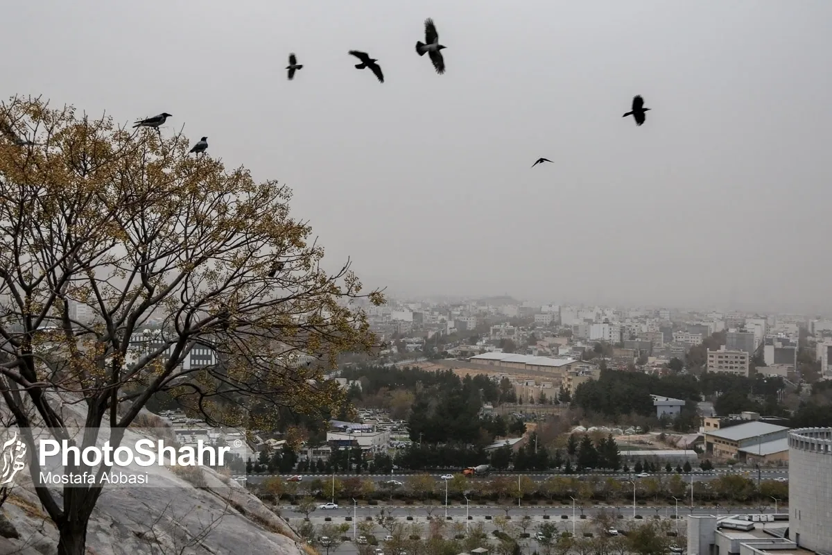 صدور هشدار سطح نارنجی هواشناسی در خراسان رضوی در پی پیش‌بینی افزایش گردوغبار (۲۹ شهریور ۱۴۰۴)