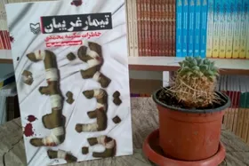 پرستاری زیر بمباران | نگاهی به کتاب &laquo;تیمار غریبان&raquo;

پرستاری زیر بمباران