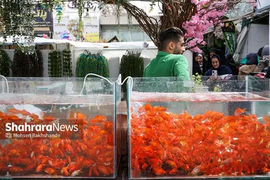 حال و هوای بازار گل در آستانه عید نوروز