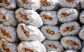 پایانِ «قیمت‌های نجومی» در بازار سیب‌زمینی | صادرات ممنوع شد