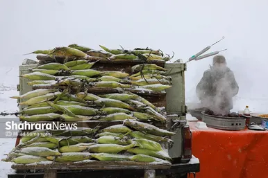 یک روز برفی در مشهد