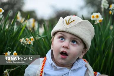 گزارش تصویری | هشتمین جشنواره گل نرگس - کازرون
