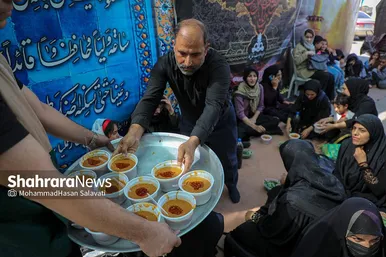 زائران پیاده امام رضا (ع)