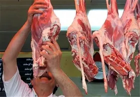 قیمت امروز مرغ، تخم&zwnj;مرغ، گوشت و دام سبک و سنگین (۱۴ بهمن ۱۴۰۳)